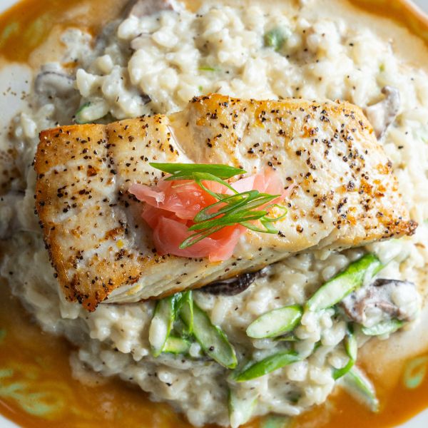halibut square Halibut